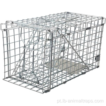 Armadilha de esquilo colapsível Humane Live Squirrel Cage Trap